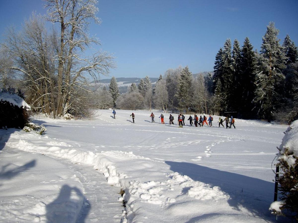 Ferienwohnung Eichhorn Hinterzarten Exteriör bild